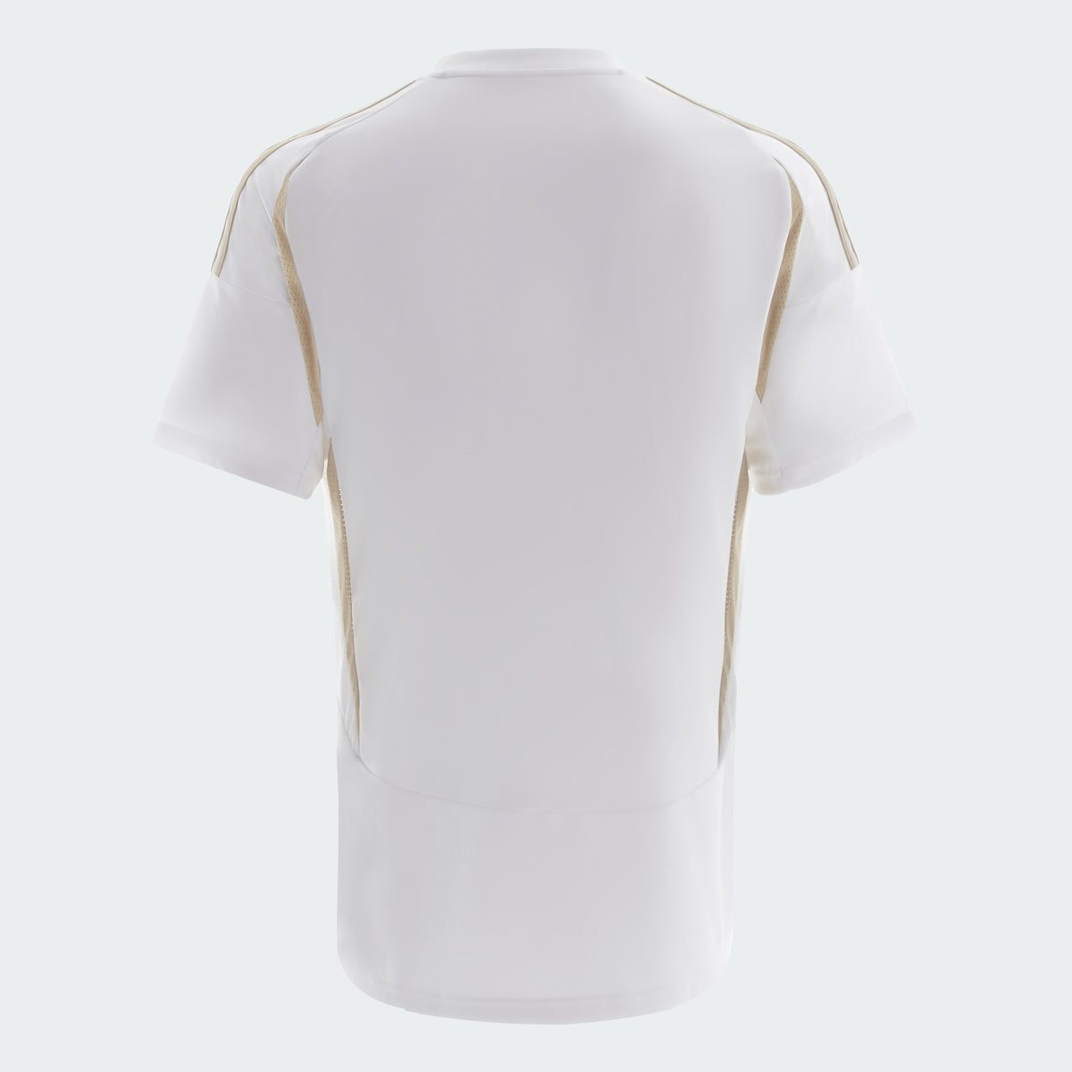 Away 24/25 Men's Shirt