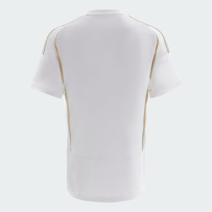 Away 24/25 Men's Shirt