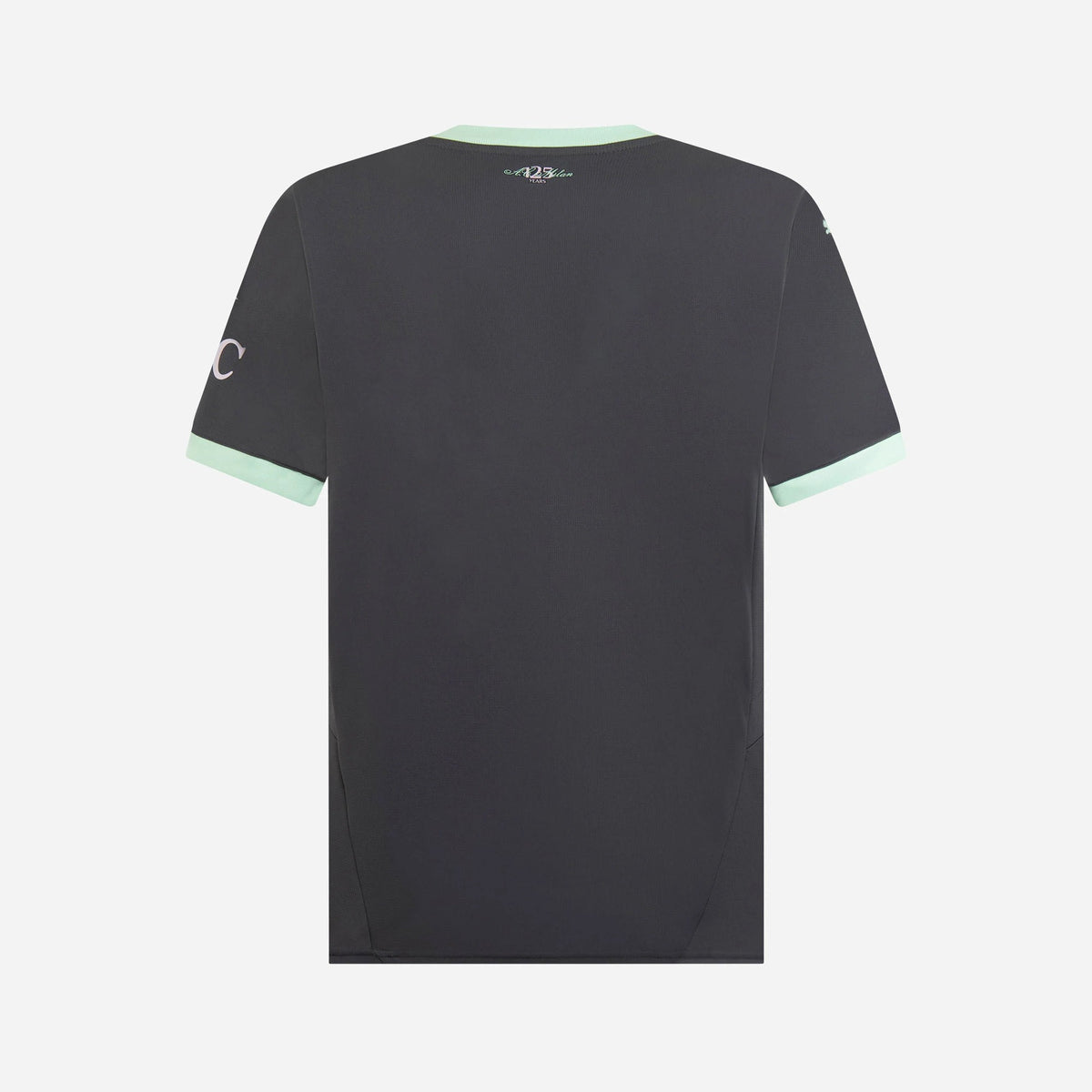 Away 24/25 Men's Shirt
