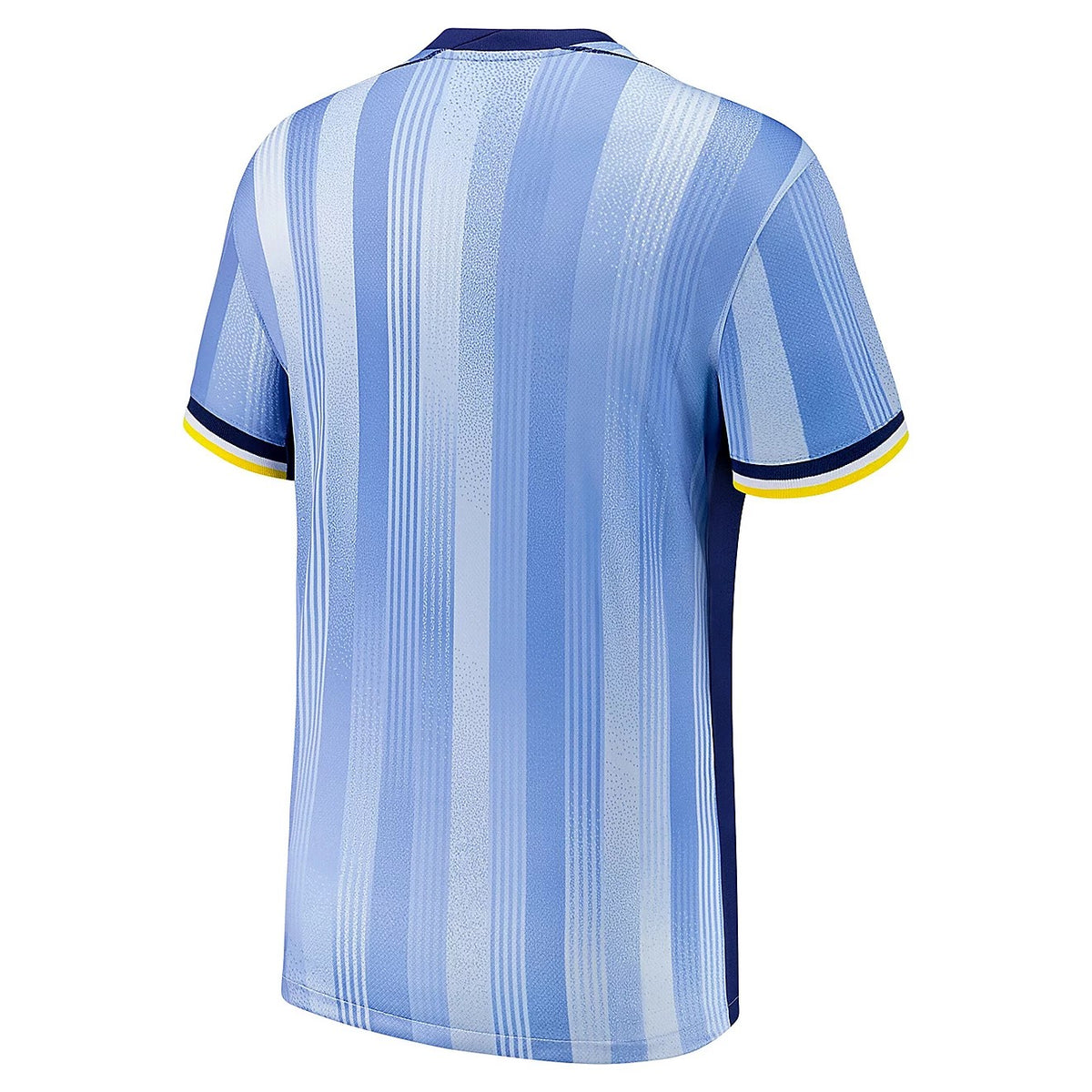 Away 24/25 Men's Shirt · Design 2