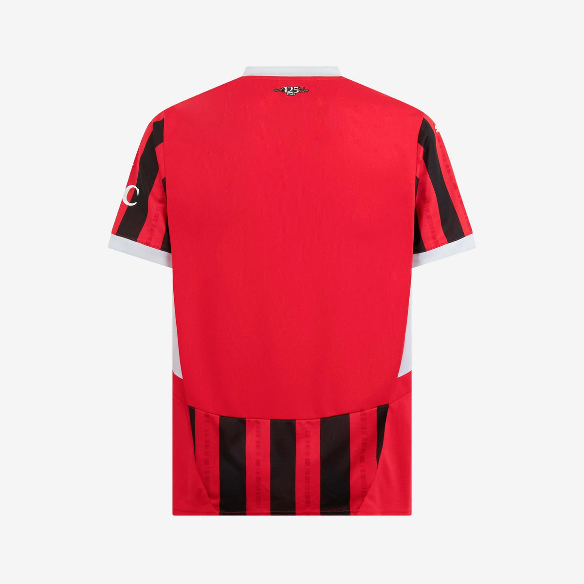 Home 24/25 Men's Shirt