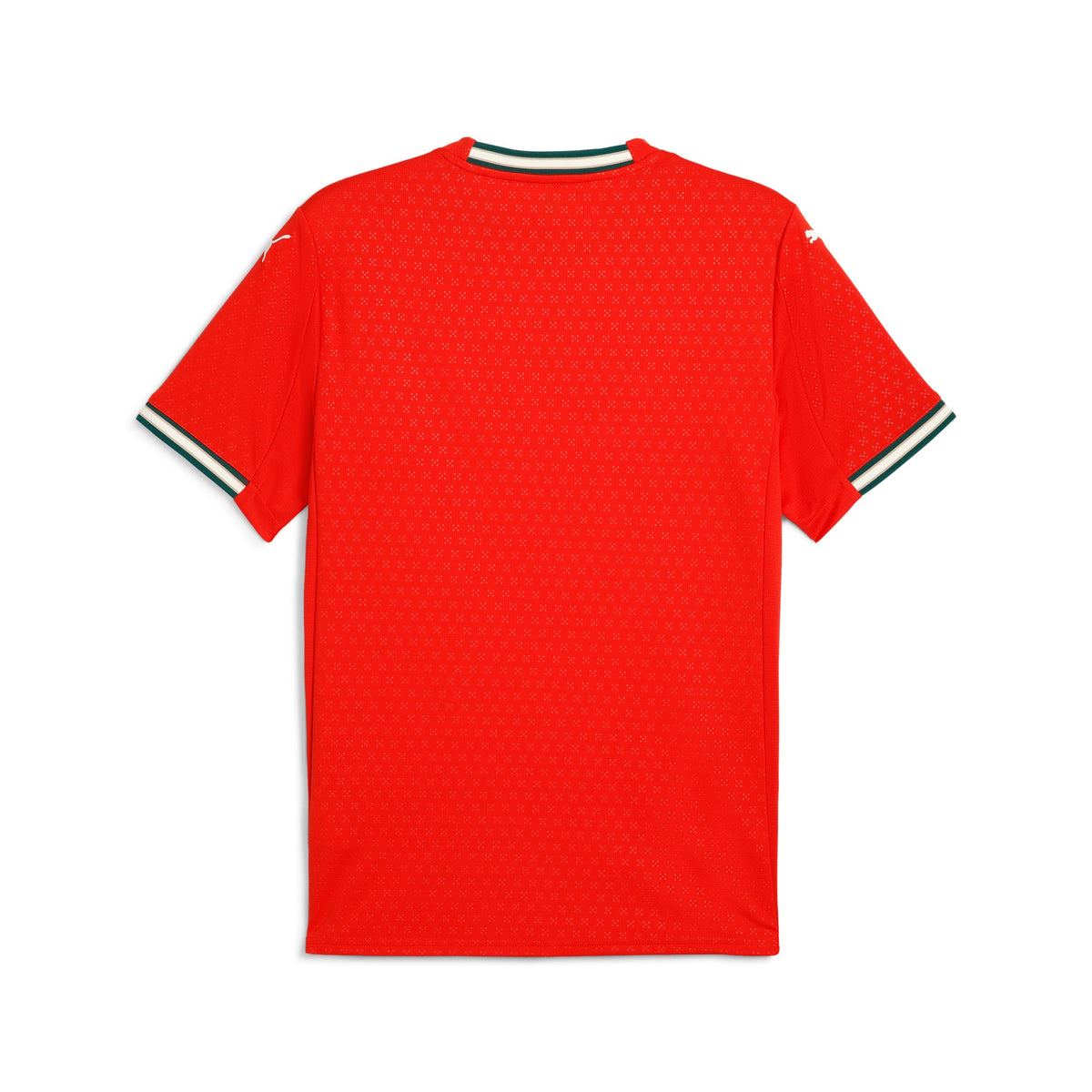 Home 25/26 Men's Shirt