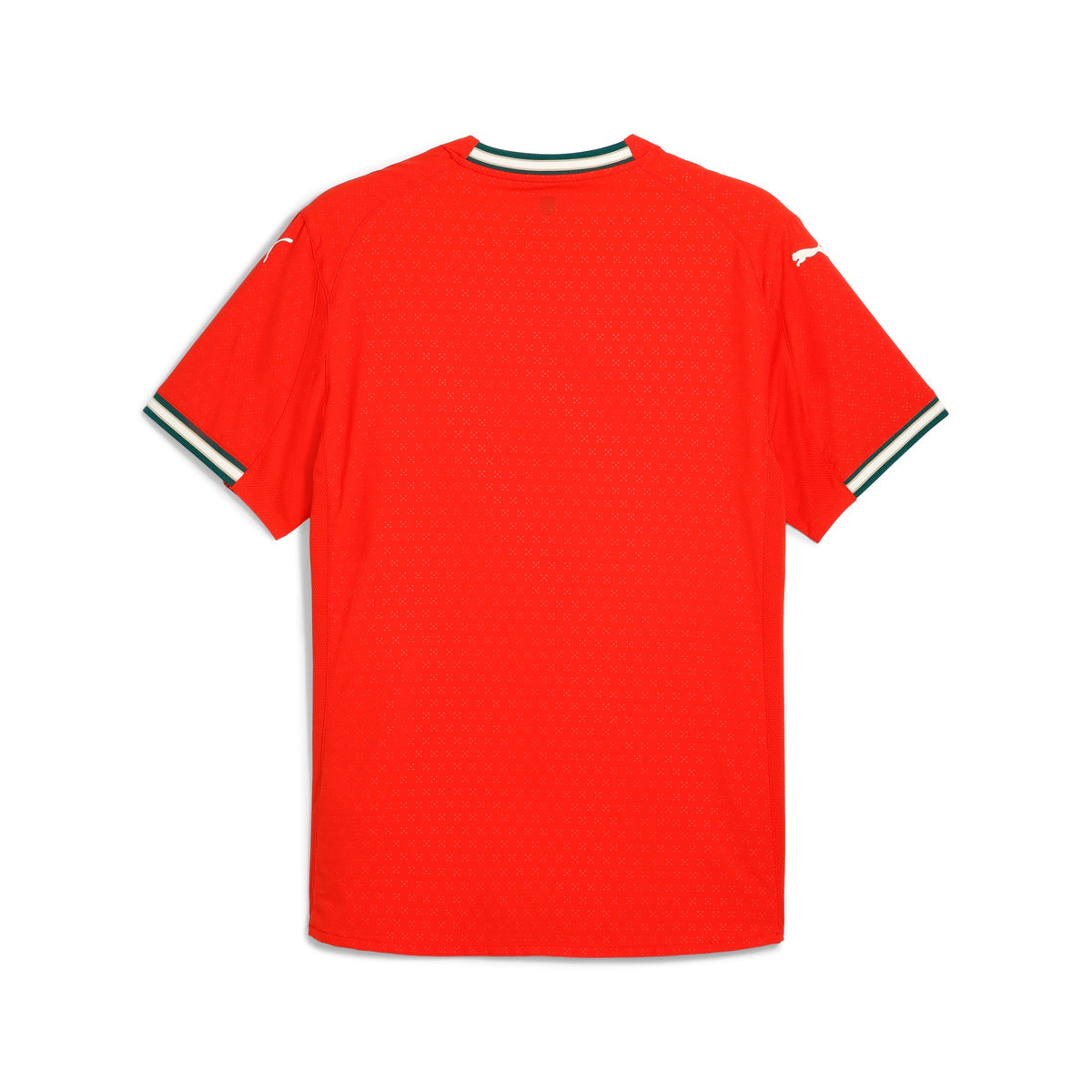 Home 25/26 Player Edition Shirt