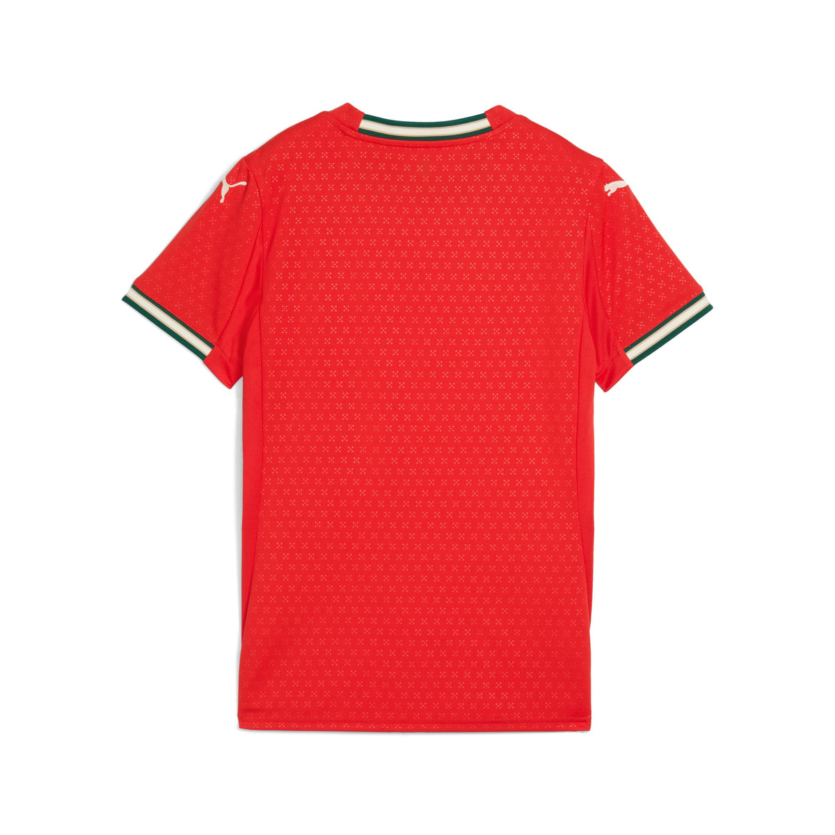 Home 25/26 Women's Shirt